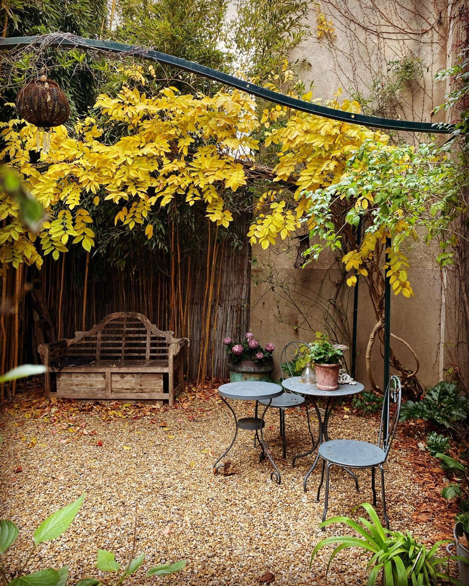 Le Logis Blanc Bed&Breakfast Coursan Екстериор снимка
