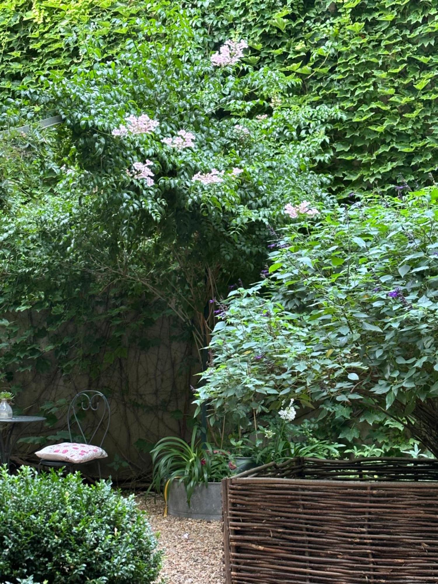 Le Logis Blanc Bed&Breakfast Coursan Екстериор снимка