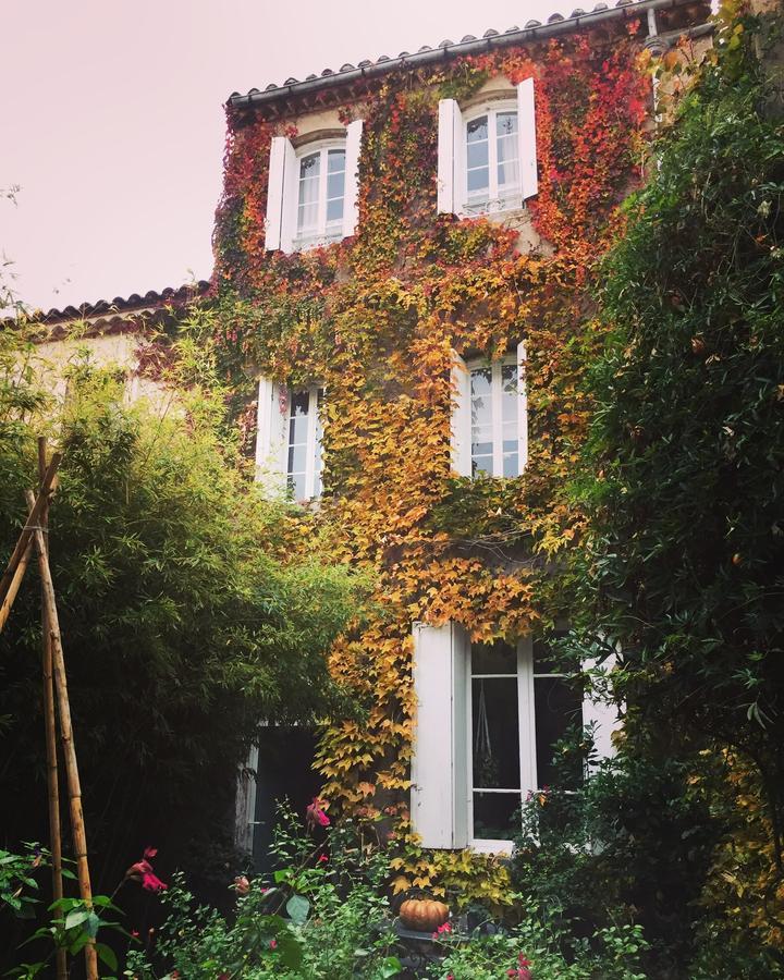 Le Logis Blanc Bed&Breakfast Coursan Екстериор снимка