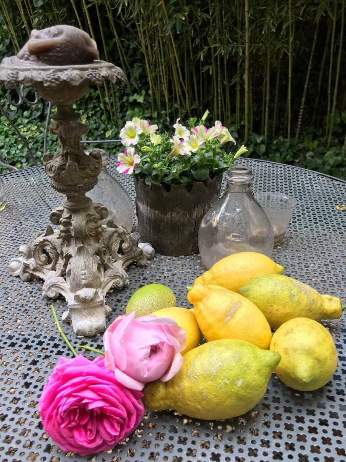 Le Logis Blanc Bed&Breakfast Coursan Екстериор снимка